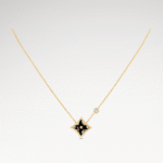 Color Blossom Onyx Star Necklace | 18K Gold and Zircon
