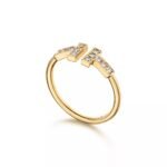 ELSIE LOVE T Ring Women 18K Gold Plated V Gold Zirconia PVD 5x Layered Open Band - Image 3